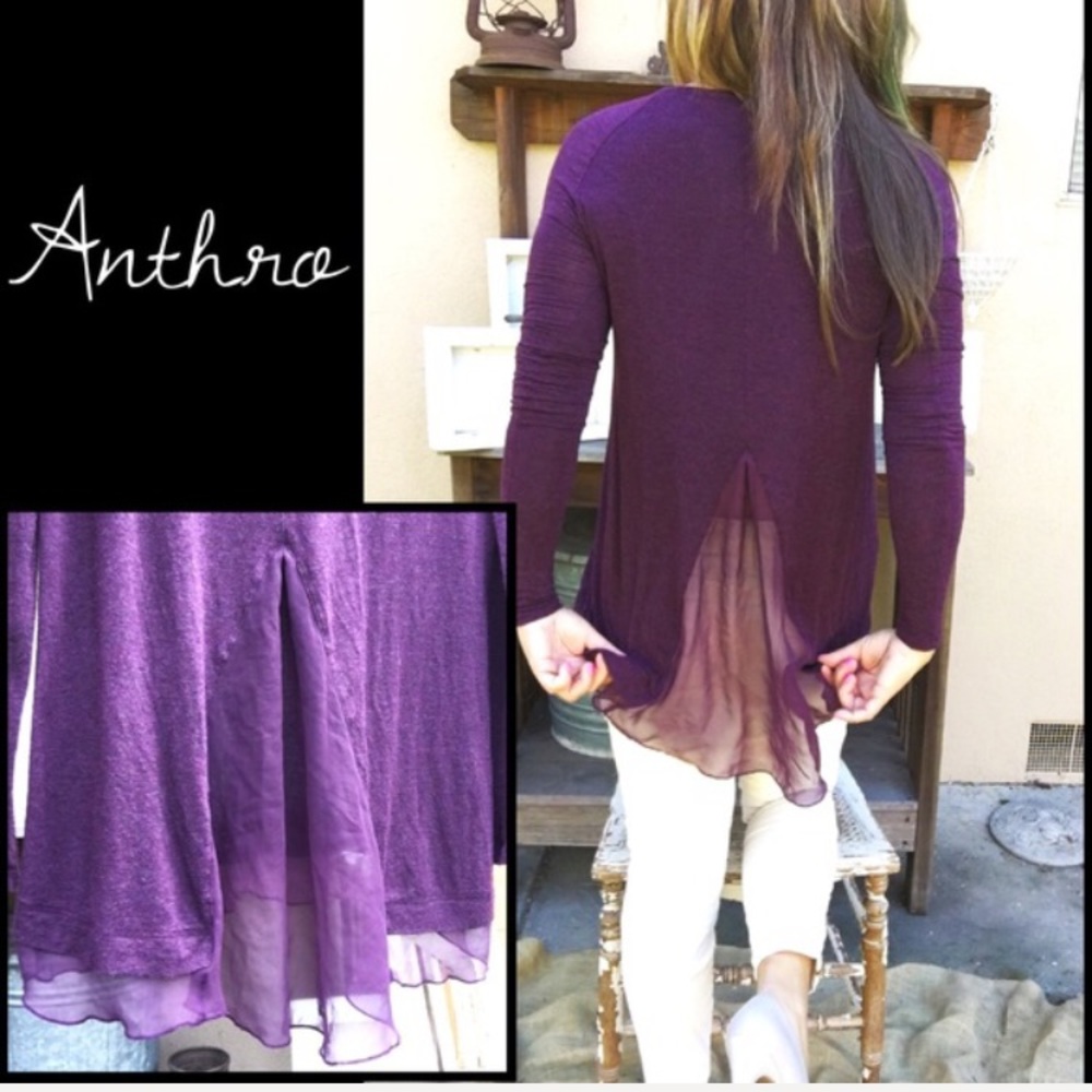 HI-LO Anthro Blousy Long Sleeve Tunic Sheer Back